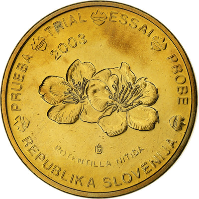 Słowenia, 
            
               20 Euro Cent, 
            
               unofficial private coin