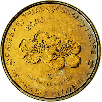 Słowenia, 
            
               10 Euro Cent, 
            
               unofficial private coin