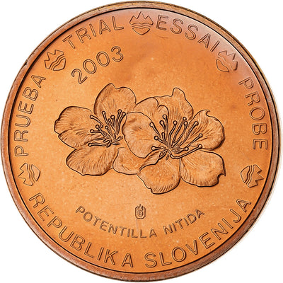 Słowenia, 
            
               5 Euro Cent, 
            
               unofficial private coin